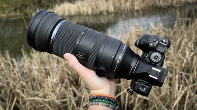 Carrying heavy telephotos for wildlife photography is no walk in the park – that's why this lens is one of my favorites (and it's $800 off)
