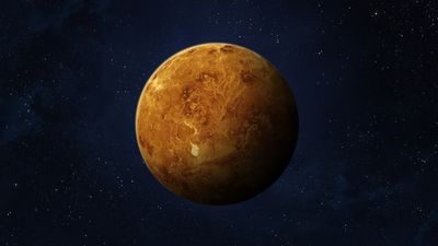 Venus news, features and articles