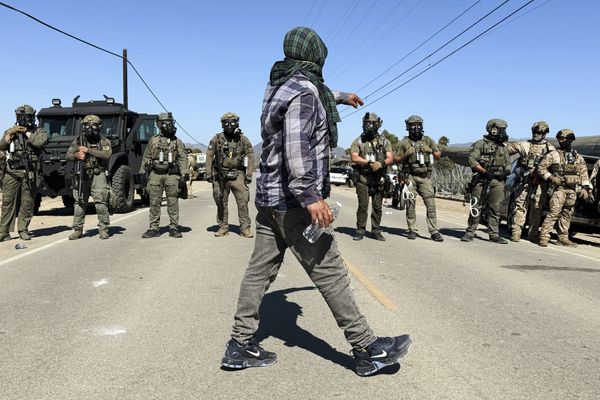 Worker dies following immigration raids on California cannabis farms