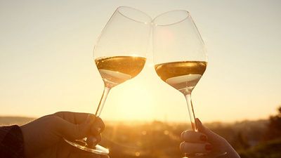 UK wine duty: Are hotter countries really being taxed more on their wine?