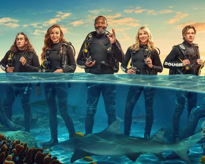 Shark! Celebrity Infested Waters: I’m absolutely hooked by this cheeky, danger-packed reality show