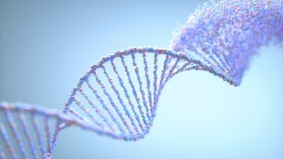 'Epigenetic memory' may help explain why PCOS tends to run in families
