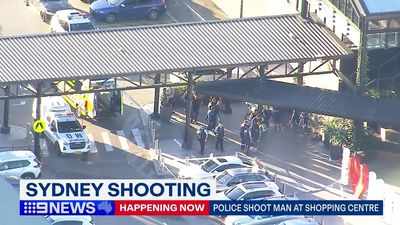 Man shot dead by police called to shopping centre brawl