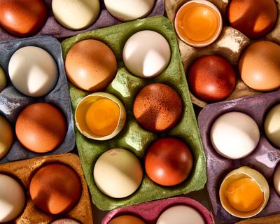 ‘Delicious, affordable everyday eating’: the best supermarket free-range eggs, tasted and rated