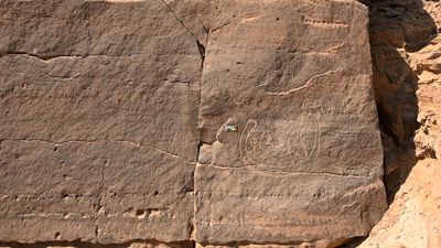 Ancient Egyptian rock art discovered near Aswan may be from the dawn of the first dynasty