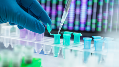 How is DNA used to identify victims of mass disasters?