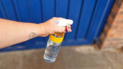 Experts say you should spray vinegar outside your front door this summer — here's why