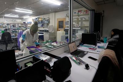 US aid cuts halt HIV vaccine research in South Africa, with global impact