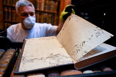 Paper-eating beetles threaten 100,000 books at country’s oldest library