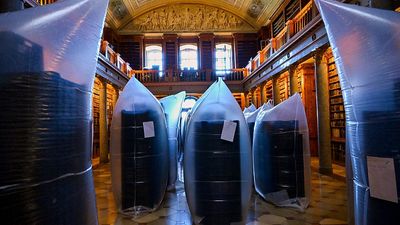 Medieval Hungarian library battles beetle infection to save national treasures
