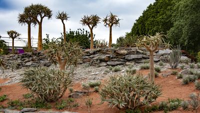 Fire-smart landscaping ideas – 5 ways to use non-combustible materials and special planting techniques to slow the spread of wildfires
