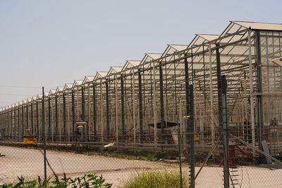 Farmworker’s death is first linked to Trump’s ICE raids