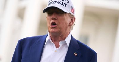 Why is Donald Trump facing a MAGA revolt over the Jeffrey Epstein files?