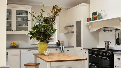How to Organize a Small Kitchen — 10 Tips Experts Swear By for a Well-Kept Compact Cooking Space