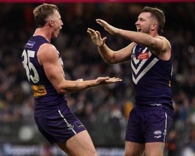 Fremantle are easy targets but deserve respect for hitting back