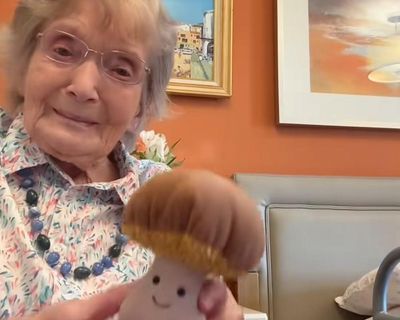 Brenda, 95, and her soft toys become unlikely stars on TikTok
