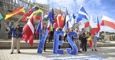 EU voters overwhelmingly back independent Scotland joining bloc, YouGov finds