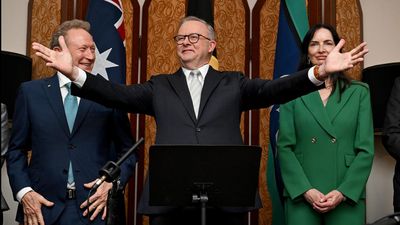 Political tensions muddy PM's Chinese green steel push