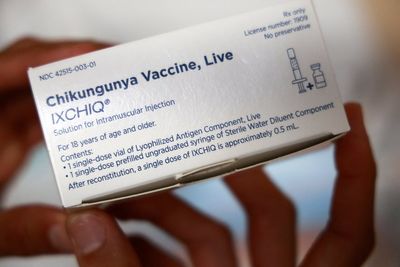 What is chikungunya? How to avoid debilitating virus while on holiday as cases rise in France