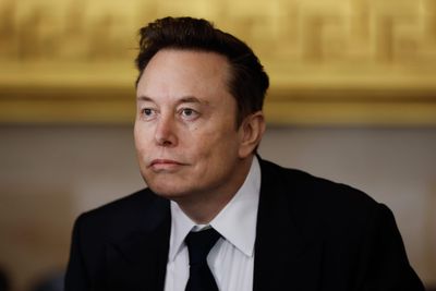 Elon Musk and some Democrats like Reid Hoffman actually share common ground on U.S. debt