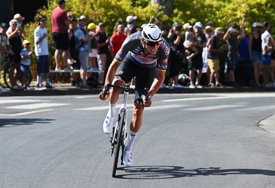 'We put on a good show' - Mathieu van der Poel falls metres short of epic Tour de France win on stage nine