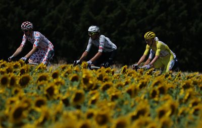 'This Tour is growing me old' - Tadej Pogačar hints at defensive tactics for first mountain stage after losing wingman João Almeida
