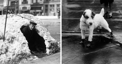 50 Historical Photos Of Washington, D.C., From The 1920s That Are Vintage US At Its Best
