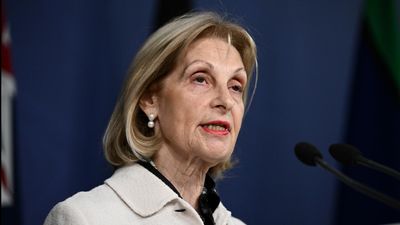 Call for envoy's resignation after husband's donation