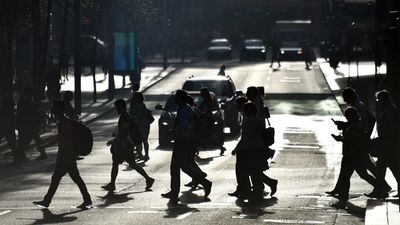 New questions on sexuality, gender part of census trial