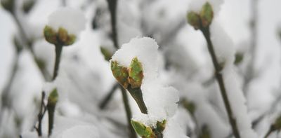 ‘A winter always coming’: Kevin Brophy’s affecting poems mine loss, luck and acceptance