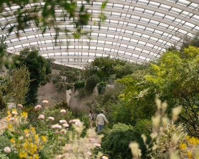 The other millennium dome: how Wales’s National Botanic Garden came back from the brink