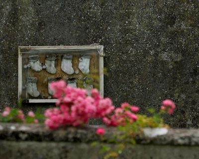 Dig begins at site in Ireland believed to hold remains of nearly 800 infants