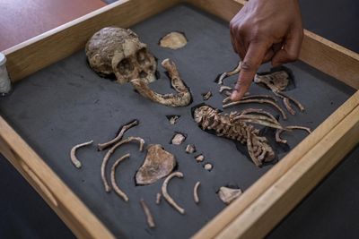 ‘It’s always been some white dude’: how Ethiopia became the world leader in uncovering the story of humankind