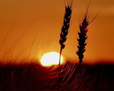 ‘Profound concern’ as scientists say extreme heat ‘now the norm’ in UK