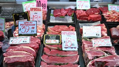 Lower tariff could give Aussie exports edge over rivals