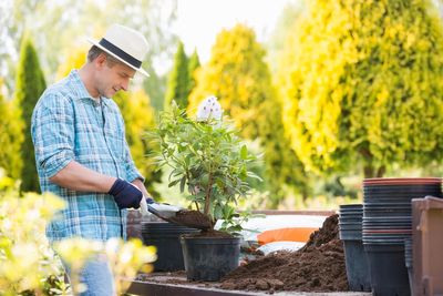 Five ways to ensure your potted plants thrive while you’re on holiday