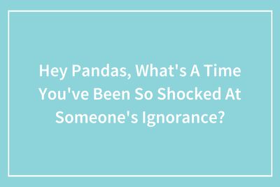 “What’s A Time You’ve Been So Shocked At Someone’s Ignorance?”: 76 Stories Shared By Our Community