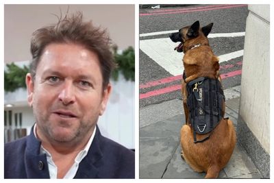 James Martin brings his dog to London for 'protection' after scary incident in 'broad daylight'