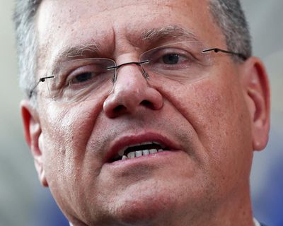 Trump’s 30% tariffs would eliminate EU-US trade, says chief negotiator Šefčovič