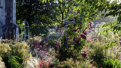 There's a garden lifeline sitting in your kitchen cupboard – you can use it to polish tools, get rid of pests, and even shine leaves