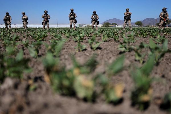US farm workers on Ice raids in the fields: ‘hunted like animals’