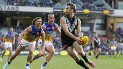 Port star has foot fracture, Hogan to miss GWS game