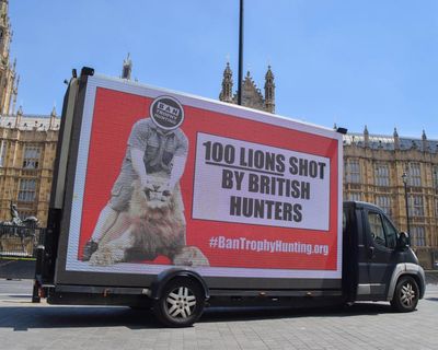 Labour has not implemented a single animal welfare pledge, say campaigners