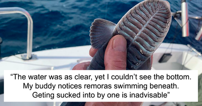 21 Of The Most Creepy Or Weird Things People Witnessed In Oceans, As Shared In This Online Group