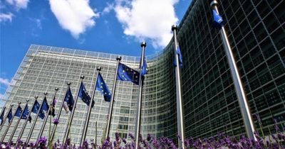 EU risks breaching international law with Israel gas deal, campaigners say