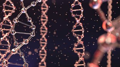 Ultragenyx Pharma Takes Another Hit As FDA Slaps Its Gene Therapy With A Rejection