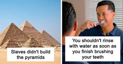 Person Asks Others To Share What Widely Accepted Facts They Know Are Wrong, And Here Are 20 Of The Most Interesting Responses