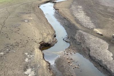Up to five more regions could face drought this year, Environment Agency says