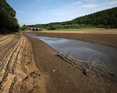More of England expected to enter drought status after hottest June on record