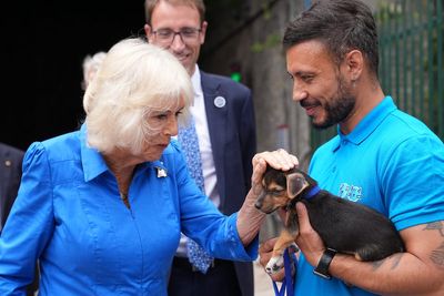 Camilla declares she’d have ‘taken’ stray puppy she met at dogs’ home